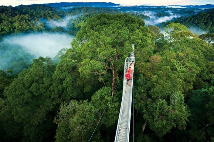 hanging bridges in Costa Rica